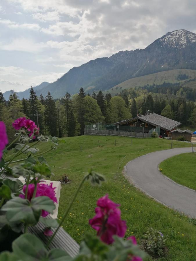 Haus Obweg - Postalm Aparthotel Hallein Exterior foto