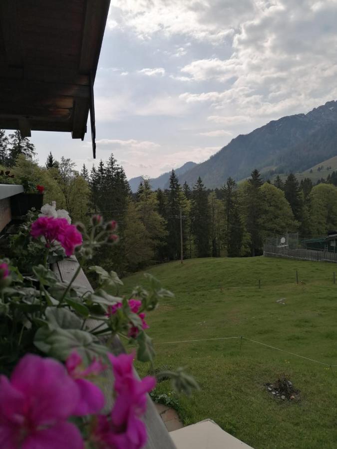 Haus Obweg - Postalm Aparthotel Hallein Exterior foto